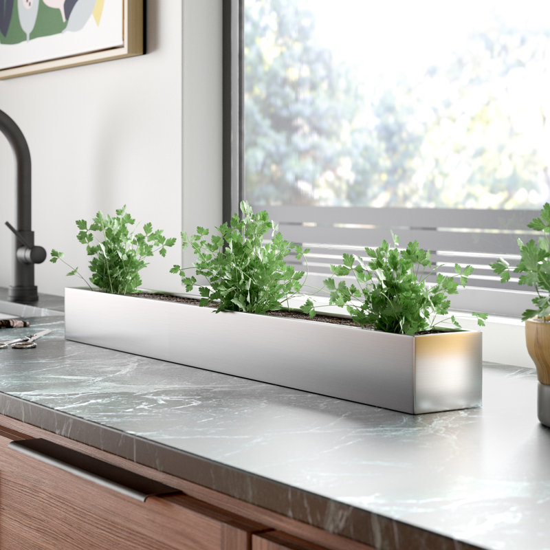 Geo Stainless Steel Planter Box & Reviews AllModern